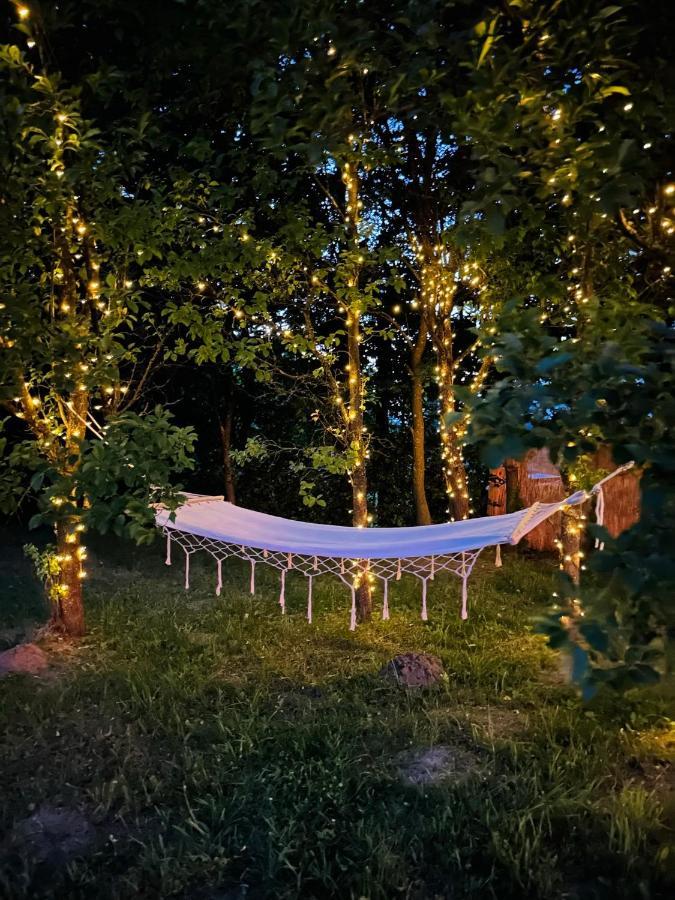 Cuib Din Fagaras Villa Avrig Eksteriør billede