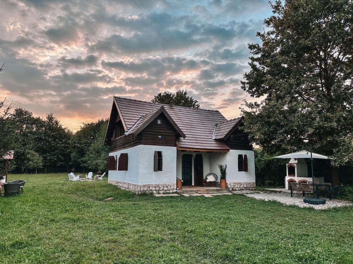 Cuib Din Fagaras Villa Avrig Eksteriør billede