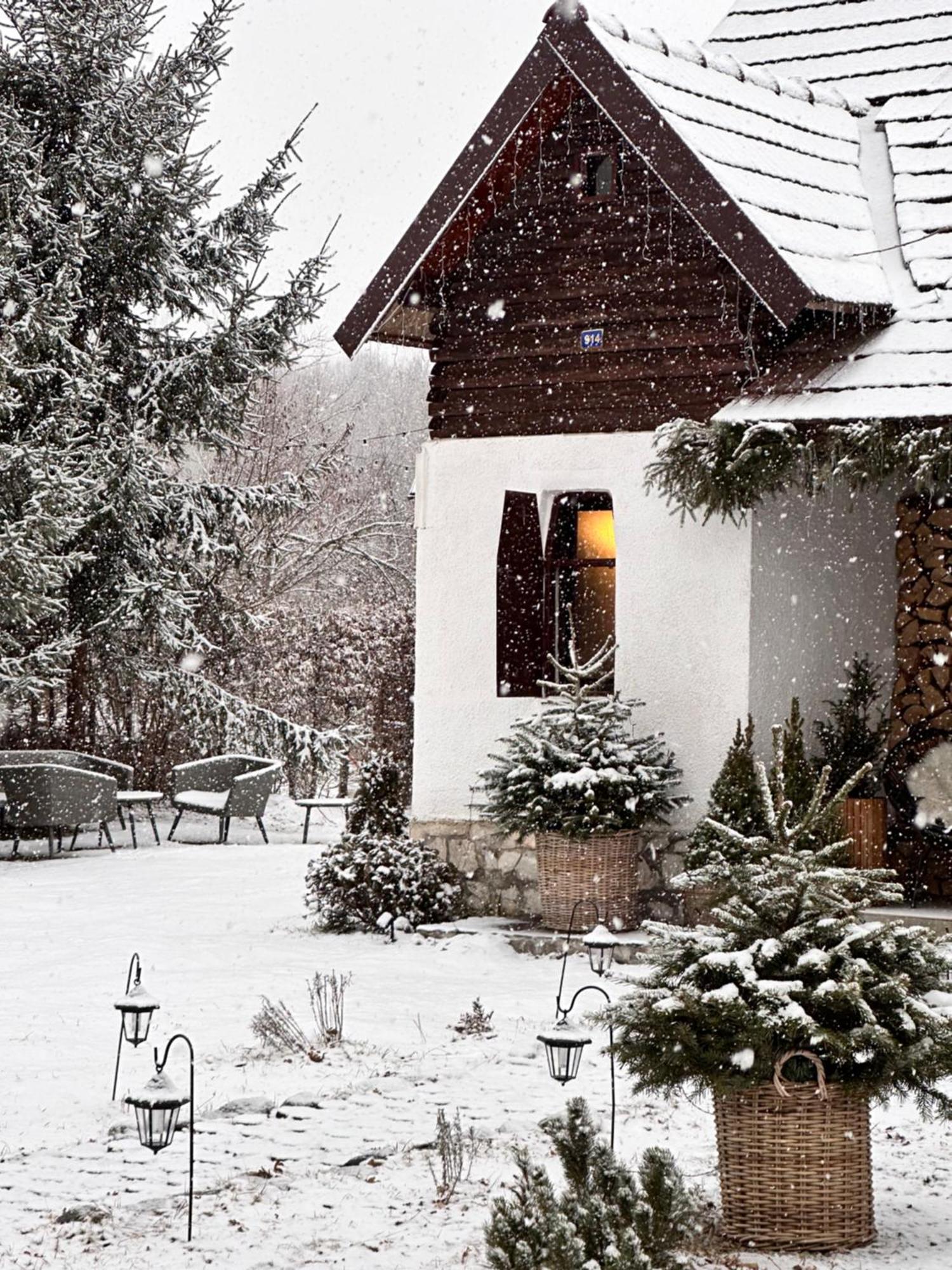 Cuib Din Fagaras Villa Avrig Eksteriør billede
